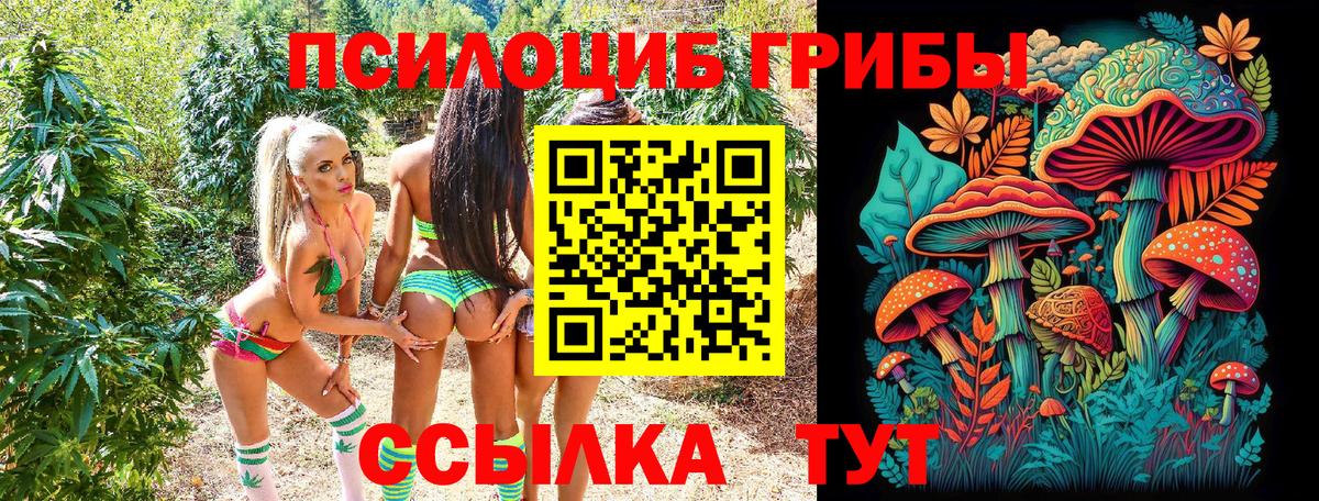 Мценск  Галлюциногенные грибы MAGIC MUSHROOMS  как найти   Вход с VPN 