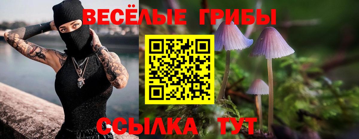 Псилоцибиновые грибы Cubensis Мценск